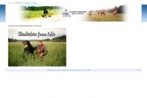 Eläinlääkäri Kekki Jaana